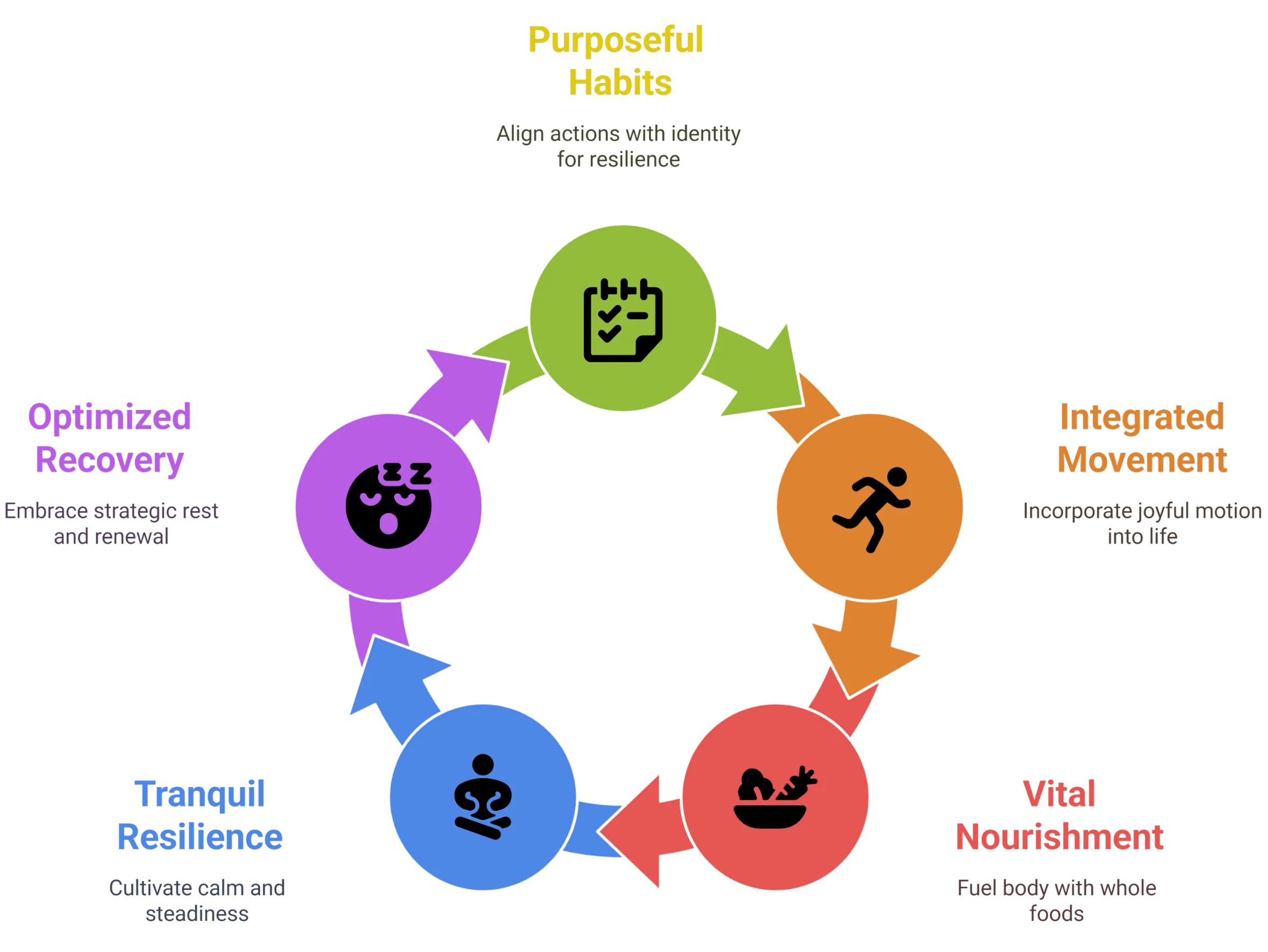 Venn diagram showing the intersection of Biology, Psychology, and Social dimensions creating the Whole Human